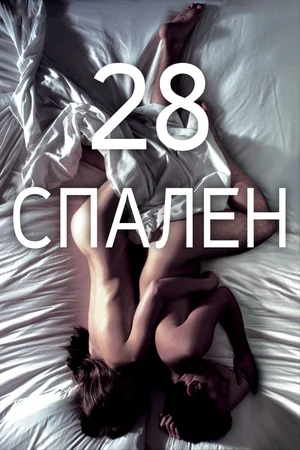 Постер к 28 спален