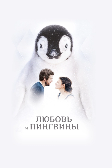 Постер к Любовь и пингвины