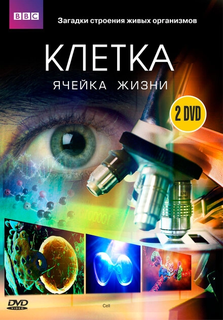 Постер к BBC: Клетка
