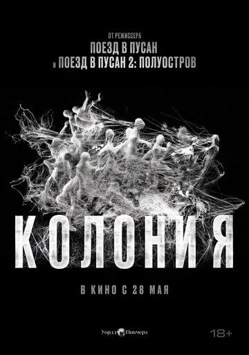 Колония